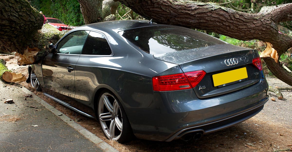 Cover Image for Animal Collisions and Comprehensive Insurance: What You Need to Know