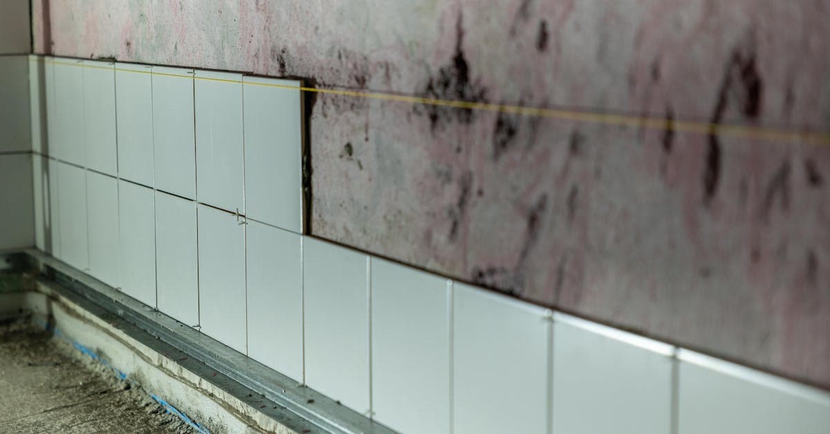 Mold Coverage Limits: How Much Will Your Homeowners Policy Pay?