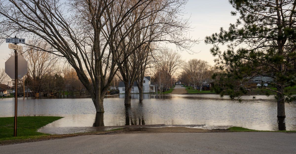 How Much Does Flood Insurance Cost? Factors That Determine Your Premium