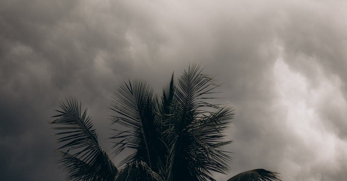 Cover Image for Florida's Hurricane Deductible Law: Once Per Calendar Year Protection