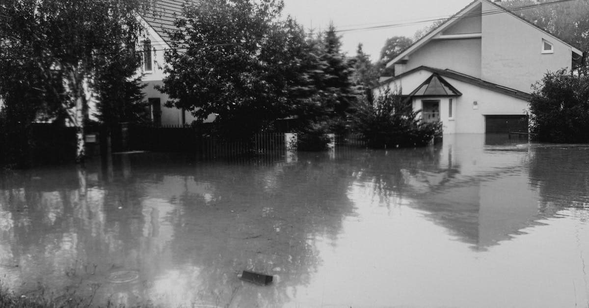 Cover Image for Preferred Risk Flood Policies: Affordable Coverage for Lower-Risk Homes