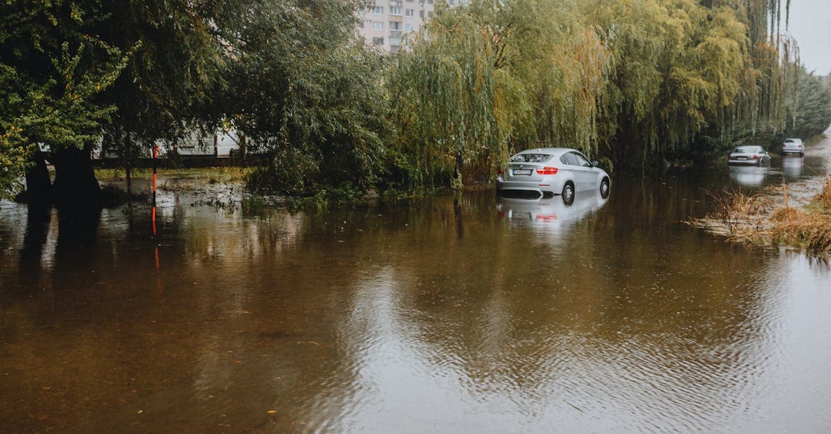 Cover Image for Why Your Renters Insurance Does Not Cover Flood Damage